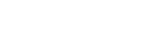 logo FaceFlow